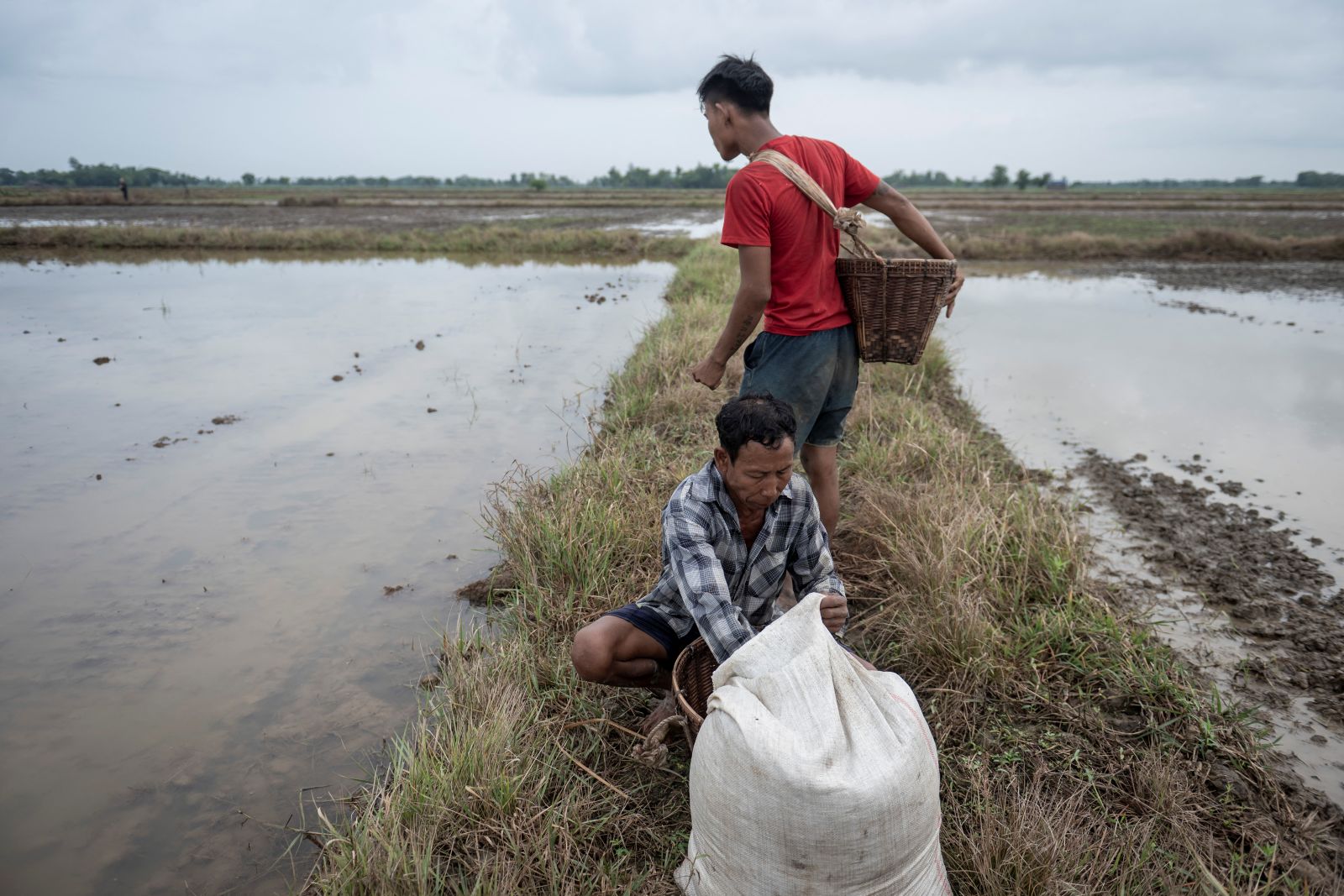 Farmers prepare to plant rice seeds in Yangon Region’s Kawhmu Township on May 25. (AFP)