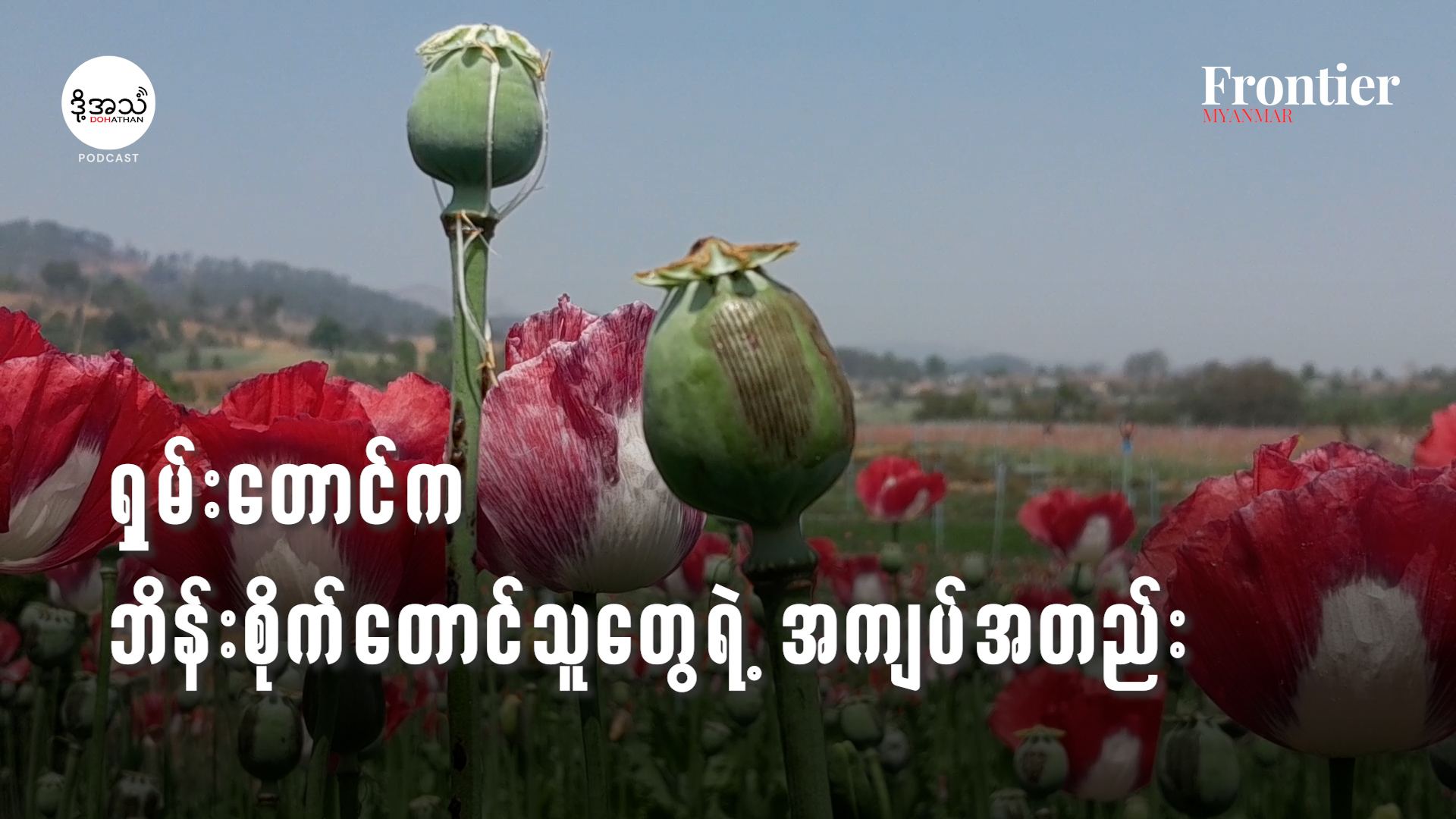 Opium thumbnail 1